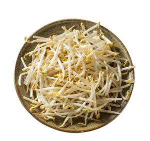 🟩 Tauge Segar Pilihan